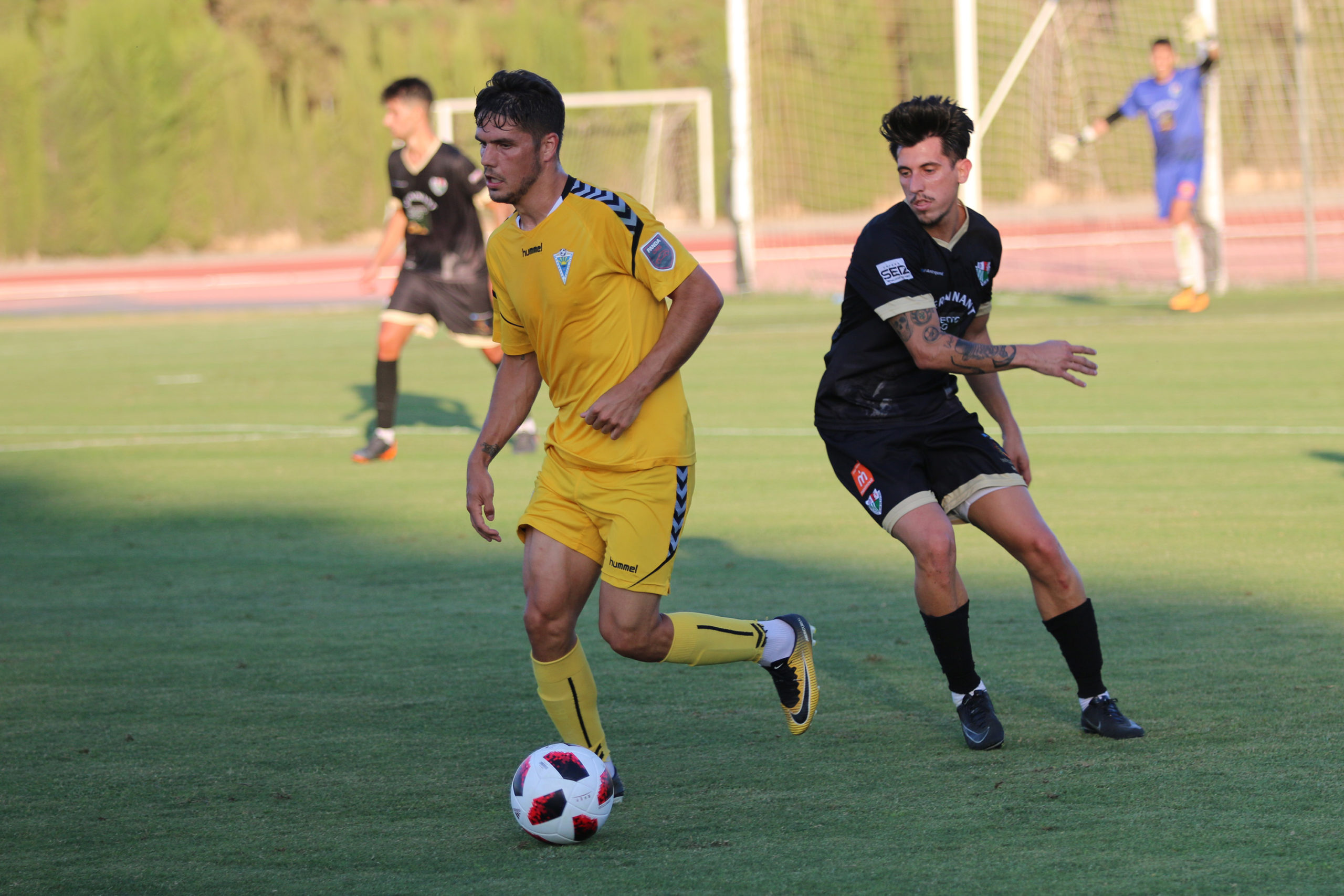 img noti53bNO9H2tC scaled