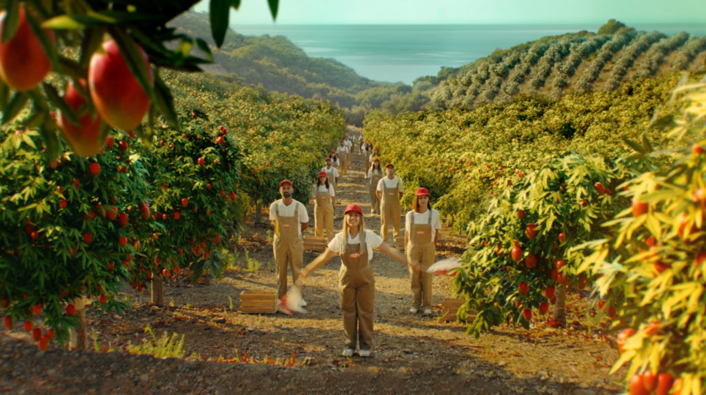 trabajadores de Trops Mango