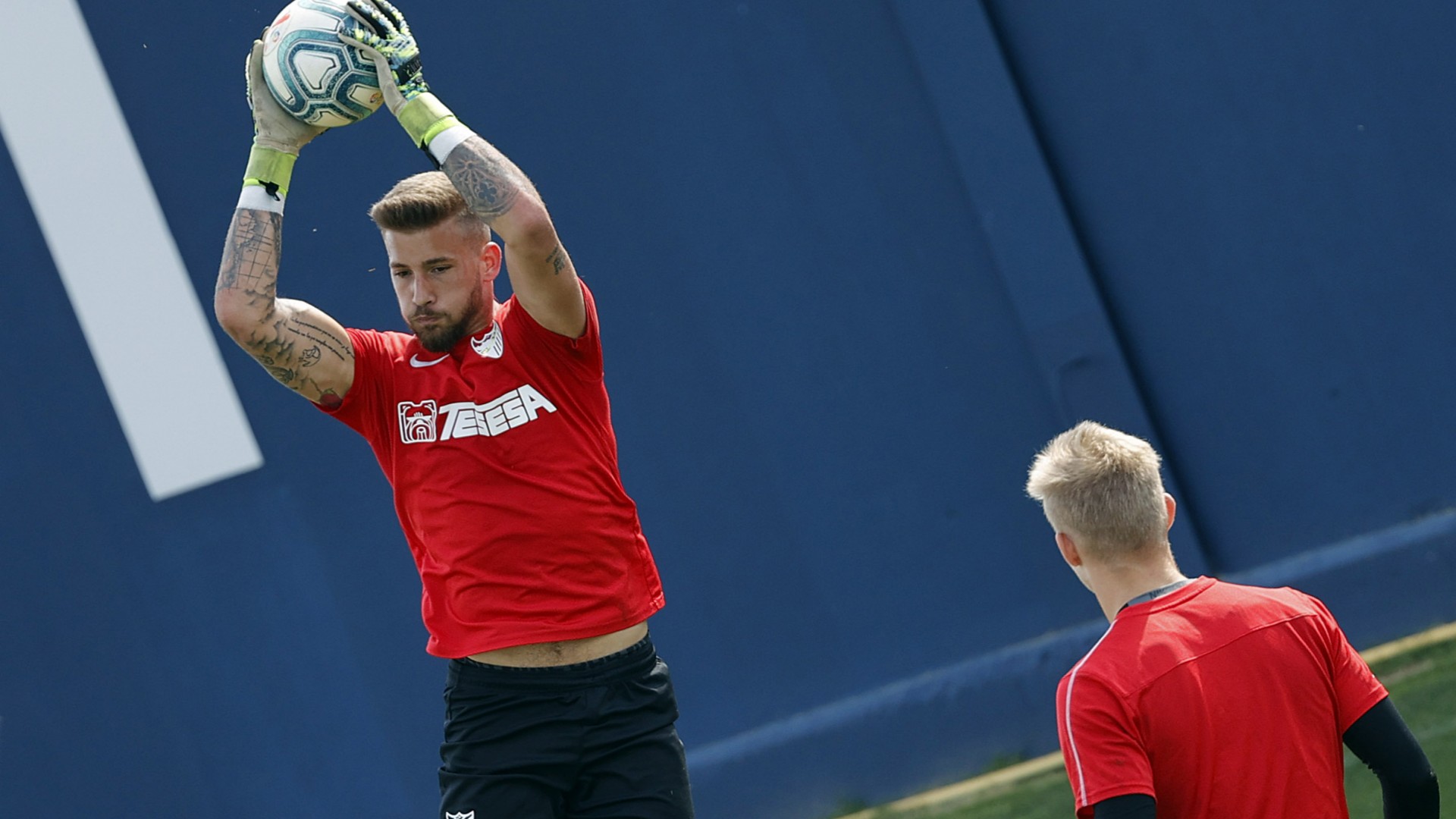 Kellyan concentrados