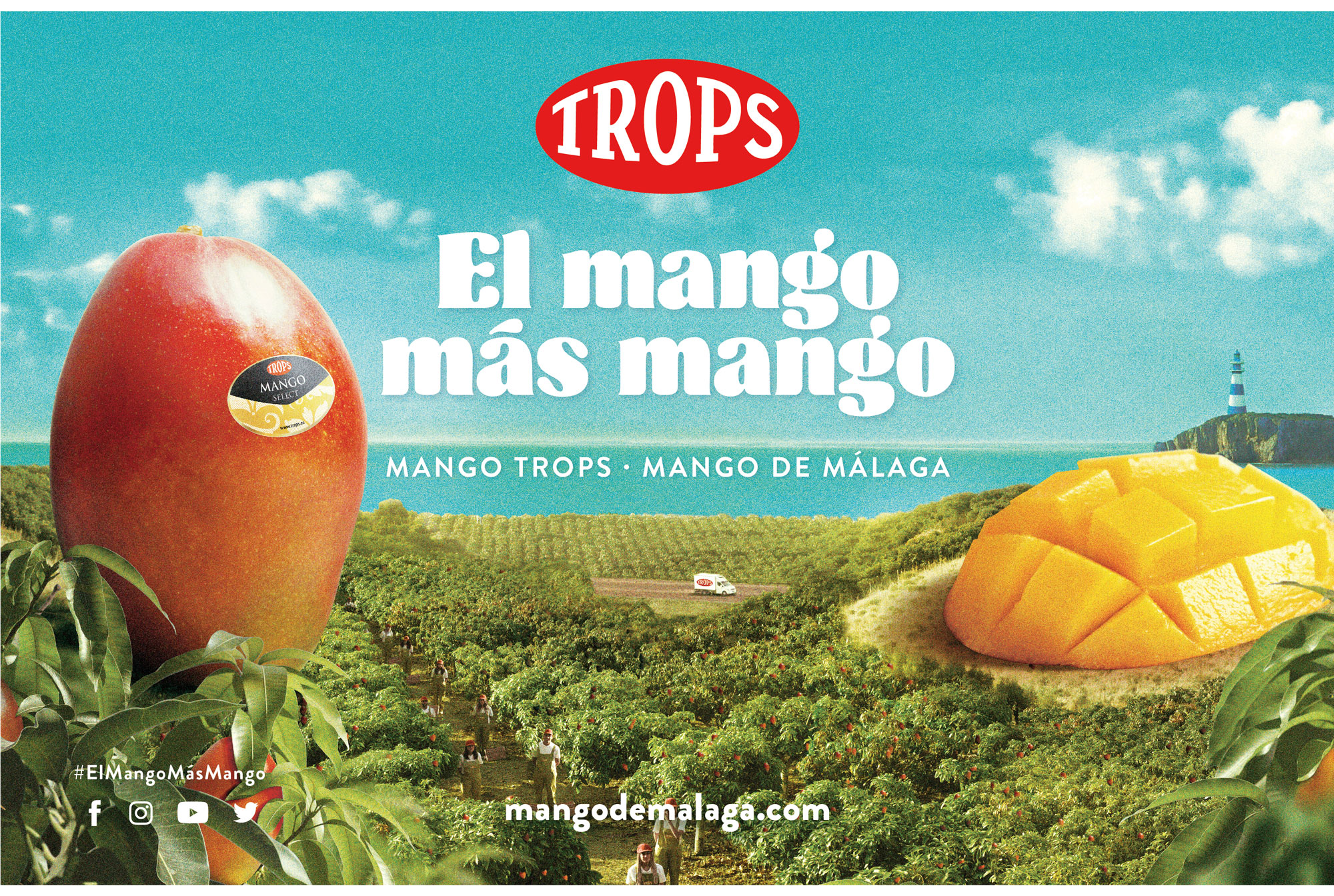 campaña trops mango