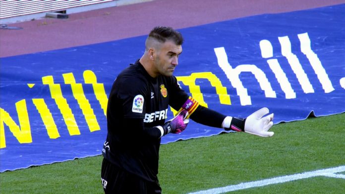 Manolo Reina