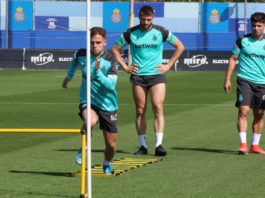 Espanyol positivo antígenos