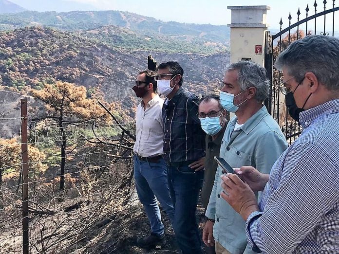 La Junta inicia trabajos preventivos en cauces afectados por el incendio de Sierra Bermeja