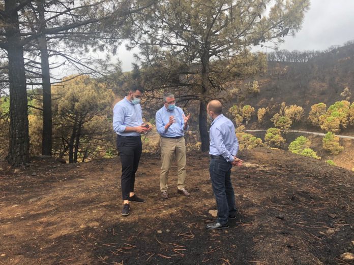 Salado visita las zonas más afectadas por el incendio y anuncia que los técnicos de Medio Ambiente y Carreteras ya valoran los daños