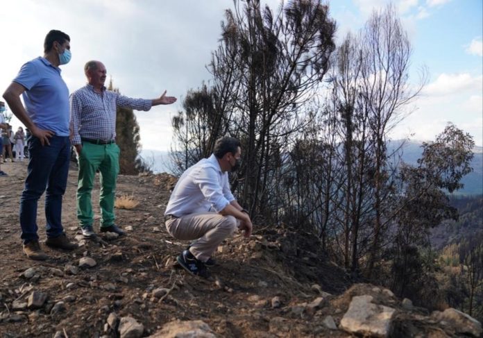 La Junta pedirá la declaración de zona catastrófica tras el incendio en Sierra Bermeja y aprobará ayudas