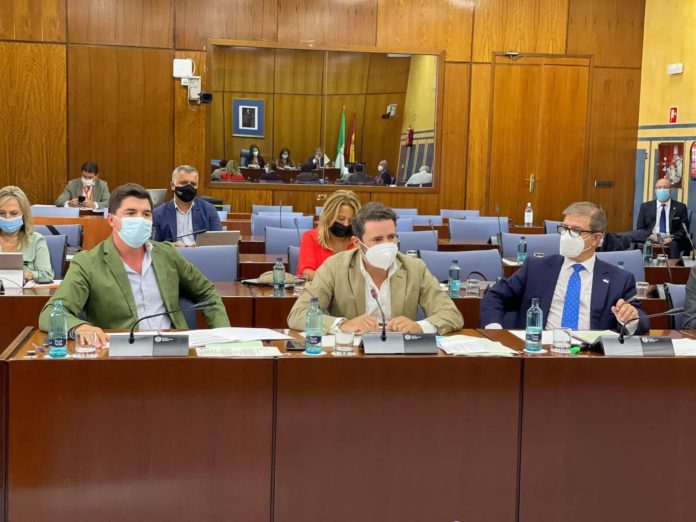 El PP apoya que un grupo técnico-científico diseñe el plan de reforestación de Sierra Bermeja