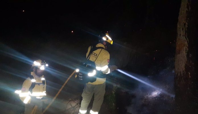 Controlado el incendio forestal en Sierra Bermeja