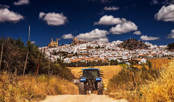 Agricultura inicia el pago de 845,8 millones de euros de anticipo de la PAC