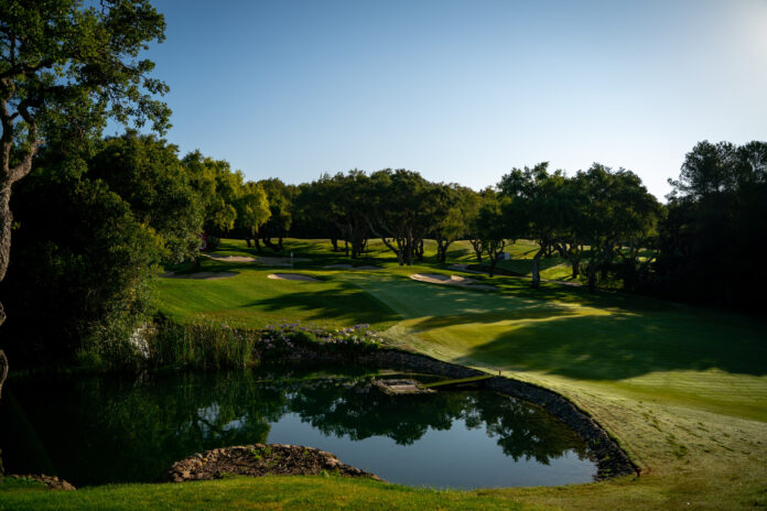 El Real Club Valderrama, socio imprescindible y sede de todas las ediciones disputadas hasta la fecha del Estrella Damm N.A. Andalucía Masters, es un ejemplo patente de que la estética puede ir de la mano de la exigencia competitiva, circunstancia que se refleja año tras año en los resultados que se dan en el torneo. Además, su magnífica presentación lleva más de 25 años acompañada de una gestión medioambiental impecable, certificada por entidades internacionales de reconocido prestigio. El Real Club Valderrama fue el primer campo de golf de Europa en obtener el certificado de excelencia medioambiental de Audubon International en el año 1995 y desde entonces ha superado todas las evaluaciones anuales que lo confirman como referencia en cuanto a compromiso con el medio natural. Además, el club también obtuvo en 2008 el reconocido certificado de gestión medioambiental ISO 14001. Desde su creación en 1992, el Programa Audubon para Campos de Golf (ACSP, Audubon Cooperative Sanctuary Program) ha servido para integrar el cuidado de la biodiversidad y la protección de medio ambiente en la implementación de buenas prácticas de mantenimiento en los campos de golf. El sistema de gestión medioambiental se basa en los siguientes elementos: la conservación del agua, la planificación ambiental, el manejo de la vida silvestre y del hábitat, la reducción racional en el uso de productos químicos, la reducción en el consumo de carburantes y las labores de difusión y educación. Con respecto al agua, en el año 2016 el Real Club Valderrama instaló uno de los sistemas de riego más avanzados del mundo con el que consiguió un ahorro del 19% en el consumo, pero los esfuerzos en este ámbito son constantes, como nos explica Javier Reviriego, director general del club. “Hemos terminado la construcción de un lago de 55.000 metros cúbicos de capacidad que recogerá el agua de lluvia y de los drenajes del campo. Podremos llenarlo con agua de lluvia durante el invierno y utilizarla en verano, lo que nos ofrece un buen colchón para los picos de consumo”, indica Reviriego. “Luego, en muchas zonas del campo, sobre todo zonas que no entran en juego debajo de los árboles, hemos decidido quitar el riego para que deje de crecer el césped y sustituirlo por corteza de alcornoque machacada (mulch, en términos técnicos). El mulch nos permite grandes ahorros en agua, productos y fertilizantes. Técnicamente queda muy bien y no rompe en nada con el paisaje natural, y nos ha permitido anular casi 400 aspersores en el campo sin afectar al juego”. Además de la recogida en los lagos, el agua de riego proviene de pozos propios homologados y validados por la Confederación Hidrográfica del Sur, y se está desarrollando el proyecto de agua residual de Sotogrande gracias al cual el club podrá hacer uso de agua depurada en terciario proveniente de poblaciones cercanas para regar la mayor parte del campo. Además, la implementación de nuevas variedades de césped también ayudará a limitar el consumo. “Estamos haciendo muchas pruebas con nuevas variedades de césped que toleran más la falta de agua y la sombra, como la zoysia. Son variedades muy usadas en Estados Unidos en climas similares al nuestro y hemos hecho una prueba en la zona de juego corto y, si funciona, la implantaremos en el resto del campo”, remata el director general del Real Club Valderrama. Con respecto a la vida silvestre, un equipo de expertos vigila la situación de todas las especies de fauna existentes en el Real Club Valderrama y se ocupa de su protección en los distintos hábitats y santuarios ubicados en el campo, inventariándolas y rastreándolas. Además, el alcornocal se limpia y poda regularmente y más del 90% de los arbustos y flores de la finca pertenecen a plantas autóctonas de la región mediterránea. Los hábitats de vida silvestre que contengan cualquier especie de flora o fauna en peligro que se encuentre amenazada por los golfistas y las actividades de mantenimiento han sido designados 