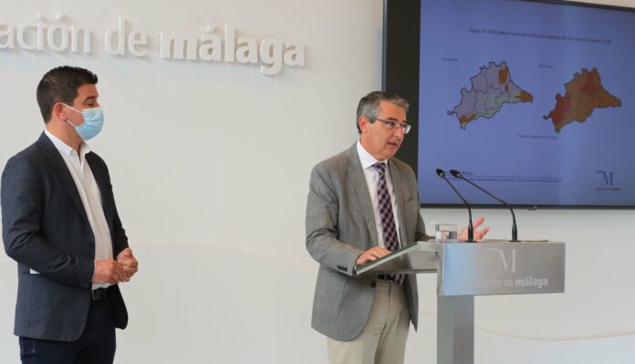 Francis Salado, presidente de la Diputación de Málaga