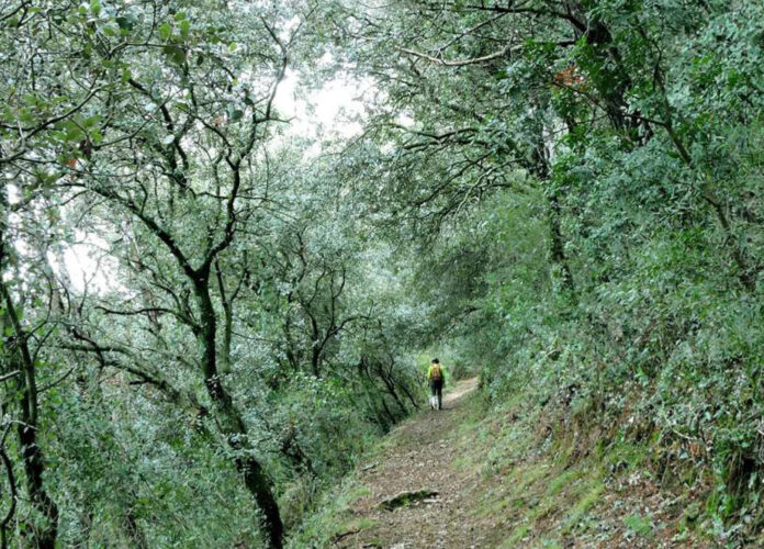 La Gran Senda de Málaga actualiza el recorrido de sus 35 etapas, que alcanzan los 856 kilómetros