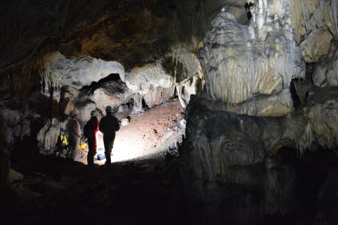 La Diputación de Málaga licitará por 285.000 euros la puesta en valor de la Cueva de Ardales con el arreglo del carril que sirve de acceso a los vehículos y la mejora de su iluminación interior. Este proyecto, redactado por el servicio de Vías y Obras de la institución provincial, forma parte de la Estrategia DUSI (Desarrollo Urbano Sostenible Integrado) Caminito del Rey, que está cofinanciado por el Fondo Europeo de Desarrollo Regional (FEDER). El presidente de la Diputación de Málaga, Francisco Salado, explica que una de las prioridades de la Diputación es la potenciación del turismo de interior y, en concreto, del entorno del Caminito del Rey. Por ello, con este proyecto europeo se pretende la puesta en valor y promoción de los activos turísticos y culturales de Ardales, en este caso de su cueva prehistórica, de la que el año pasado se celebró el bicentenario de su descubrimiento. La cueva es uno de los siete hitos incluidos en la candidatura para la declaración del Caminito del Rey y su entorno como Patrimonio Mundial de la Unesco. Las paredes de la cavidad cuentan con las expresiones artísticas más antiguas registradas hasta la fecha, realizadas por neandertales hace entre 65.000 y 45.000 años, según la datación con uranio/torio de las muestras de las costras sobre las que están representadas las manifestaciones gráficas. Además, la gruta cuenta con una amplia variedad pictórica del homo sapiens, ya en el Paleolítico superior. Paralelamente, se han estudiado más de veinte depósitos de huesos humanos pertenecientes al Neolítico y a la Edad del Cobre. Salado indica que, tras aprobarse en Junta de Gobierno, la Diputación sacará a licitación próximamente el proyecto. Y concreta que, por un lado, se arreglarán unos 2.800 metros del carril para acceder a la cueva, que se encuentra solo parcialmente pavimentado, por lo que resulta dificultoso el acceso para algunos turismos y, además, no permite el paso de autobuses. En este sentido, se procederá al asfaltado completo del camino y, además, se colocarán barreras de seguridad de madera y metal en algunos tramos y se instalará un cartel informativo/interpretativo en la entrada de la cueva. Y, por otra parte, se efectuarán cambios del equipo eléctrico de iluminación de la senda interior la cueva. Así, se sustituirán los proyectores que actualmente alumbran los primeros metros de la cavidad por otros de mayor eficacia y grado de protección frente a agentes atmosféricos. Paralelamente, se cambiarán las placas fotovoltaicas, acumuladores y elementos auxiliares y de conexión con el propósito de mejorar la fiabilidad de todos los componentes del conjunto así como su eficiencia energética. Mejoras medioambientales Respecto a estas mejoras, Francisco Salado recuerda que las actuaciones incluidas en la Estrategia DUSI Caminito del Rey -que se desarrollan en los municipios de Álora, Antequera, Ardales y Valle de Abdalajís- tienen también como objetivos conservar el medio ambiente e impulsar la eficiencia de los recursos además de promover la protección, fomento y desarrollo del patrimonio cultural y natural. Así, resalta la apuesta por la sostenibilidad, ya que para el arreglo del camino se emplearán zahorra reciclada y hormigón bituminoso con adición de polvo de caucho procedente del reciclaje de neumáticos fuera de uso. Y en cuanto a la iluminación interior, se usará energía fotovoltaica y tecnología LED.