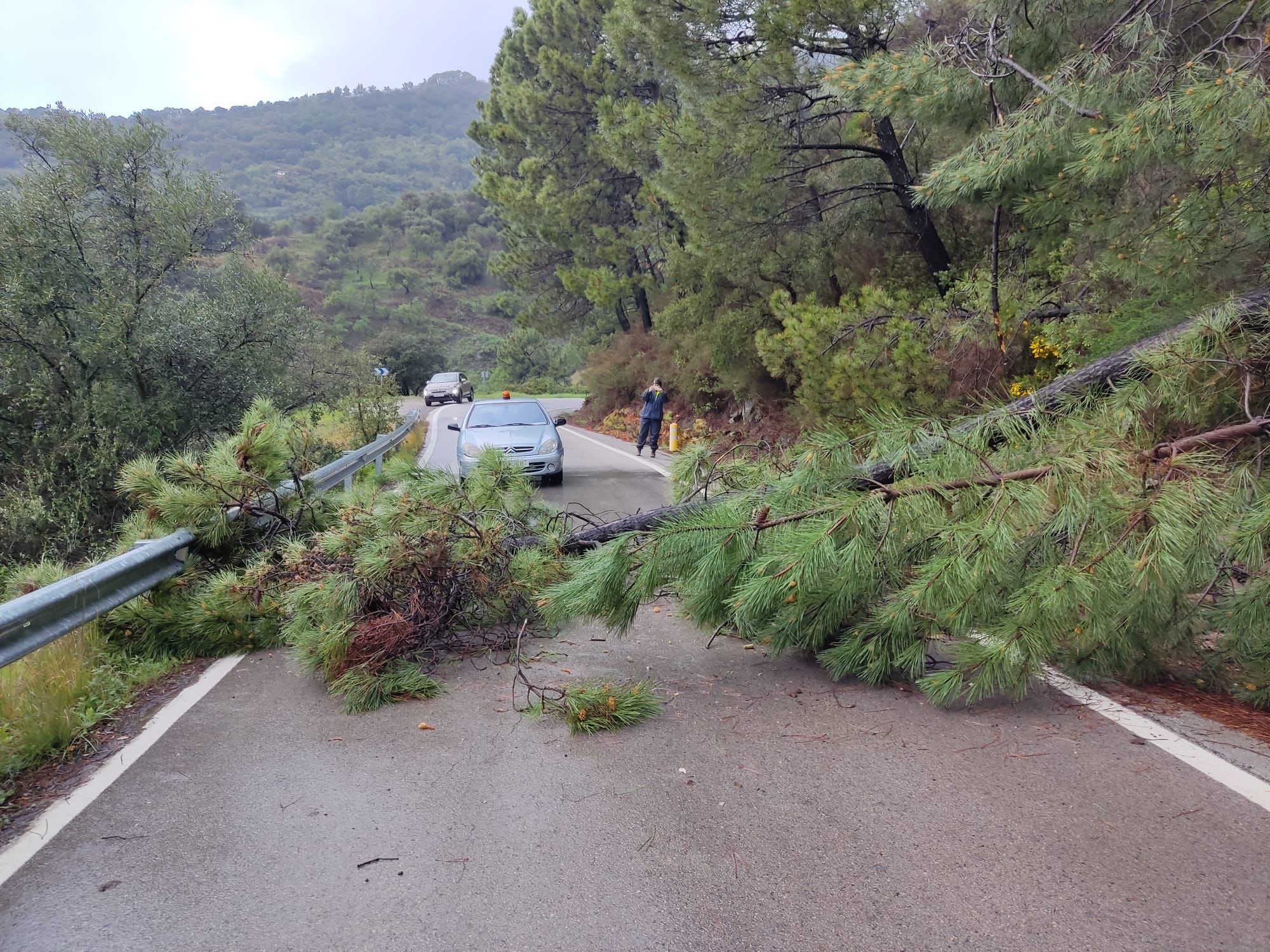 Incidencias por las lluvias en diversas carreteras de la provincia