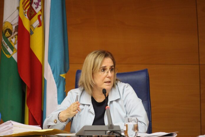La alcaldesa Ana Mula durante la sesión plenaria
