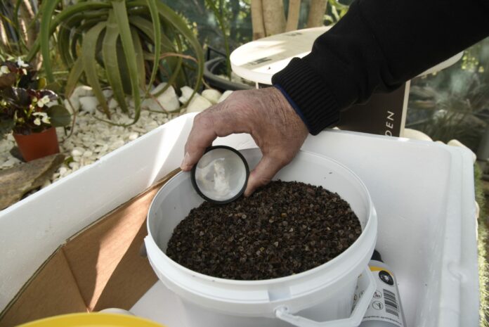 Arranca una campaña de  control ecológico de plagas en la masa arbórea de Torremolinos