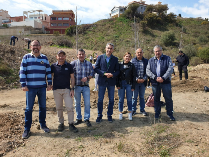 Escolares de Benalmádena realizan una plantación de árboles en el Parque Albaytar