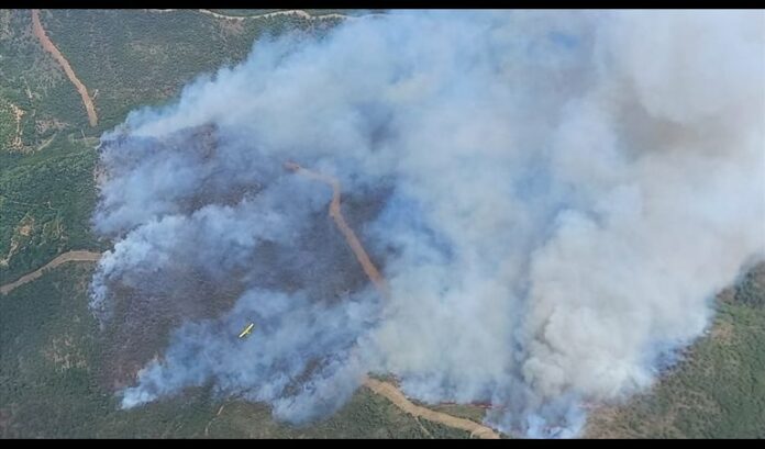 Estabilizado el incendio forestal en Pujerra