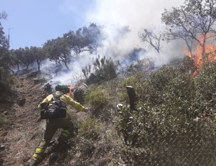 Bomberos del Infoca trabajan en la extinción del incendio forestal declarado el viernes 15 de julio en la Sierra de Mijas y que se ha dado por estabilizado el domingo.