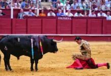 Fortes pasea la única oreja en la quinta de abono en Málaga