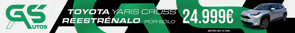 980x110 copia gs autos