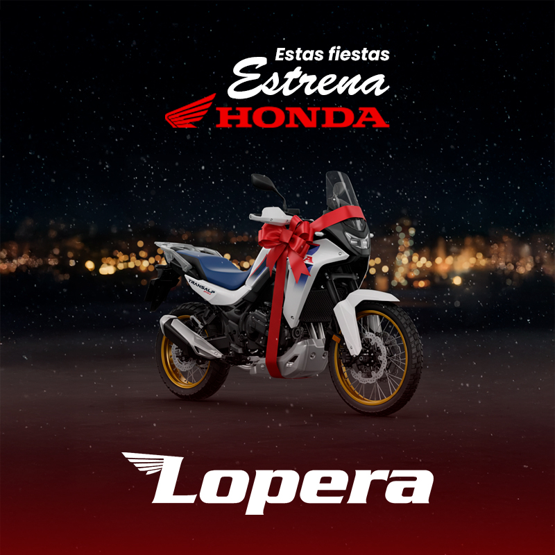 Polideportivo 9 lopera navidad 800x800 2