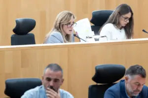 PLENO PRESPUESTO 2026 DIPUTACIÓN 3