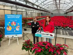 23 - TORREMOLINOS JORNADAS DISCAPACIDAD