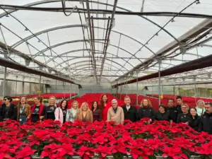 24 - TORREMOLINOS JORNADAS DISCAPACIDAD