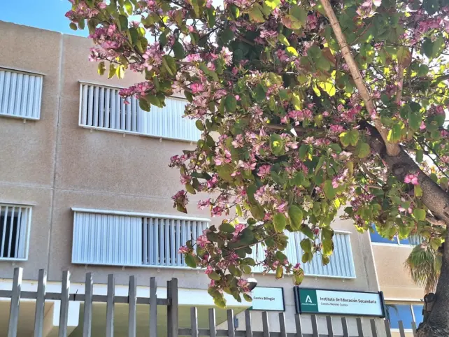 COLEGIOS CONTROL TÉRMICO TORREMOLINOS