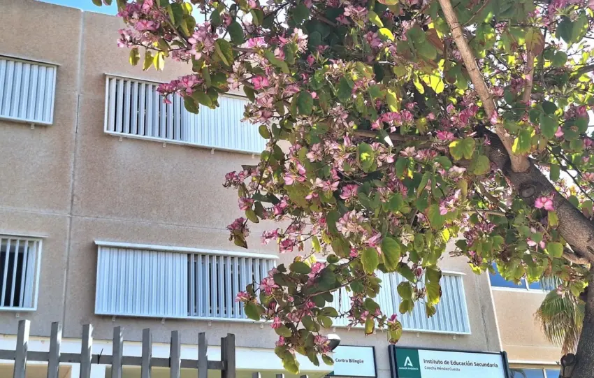 COLEGIOS CONTROL TÉRMICO TORREMOLINOS