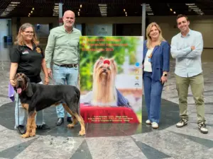 Cerca de 2.000 canes de 153 razas participan en Torremolinos en la feria internacional del perro 1 9 - FERIA INTERNACIONAL DEL PERRO TORREMOLINOS