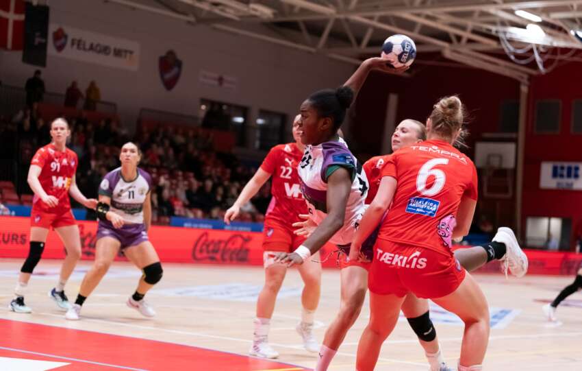 PaqueteHaukar scaled 1