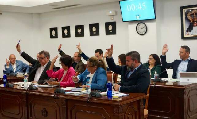 Pleno ordinario noviembre 2025