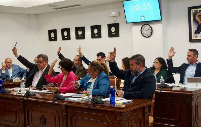 Pleno ordinario noviembre 2025