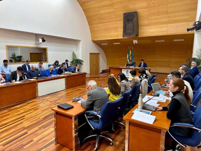 Sesion Plenaria correspondiente al mes de noviembre