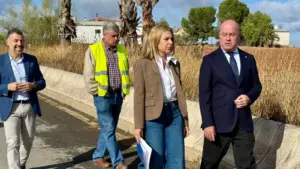 CARRTERA CARTAOJAL 2