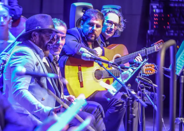 FLAMENCO EN LA DIPUTACIÓN DE MÁLAGA