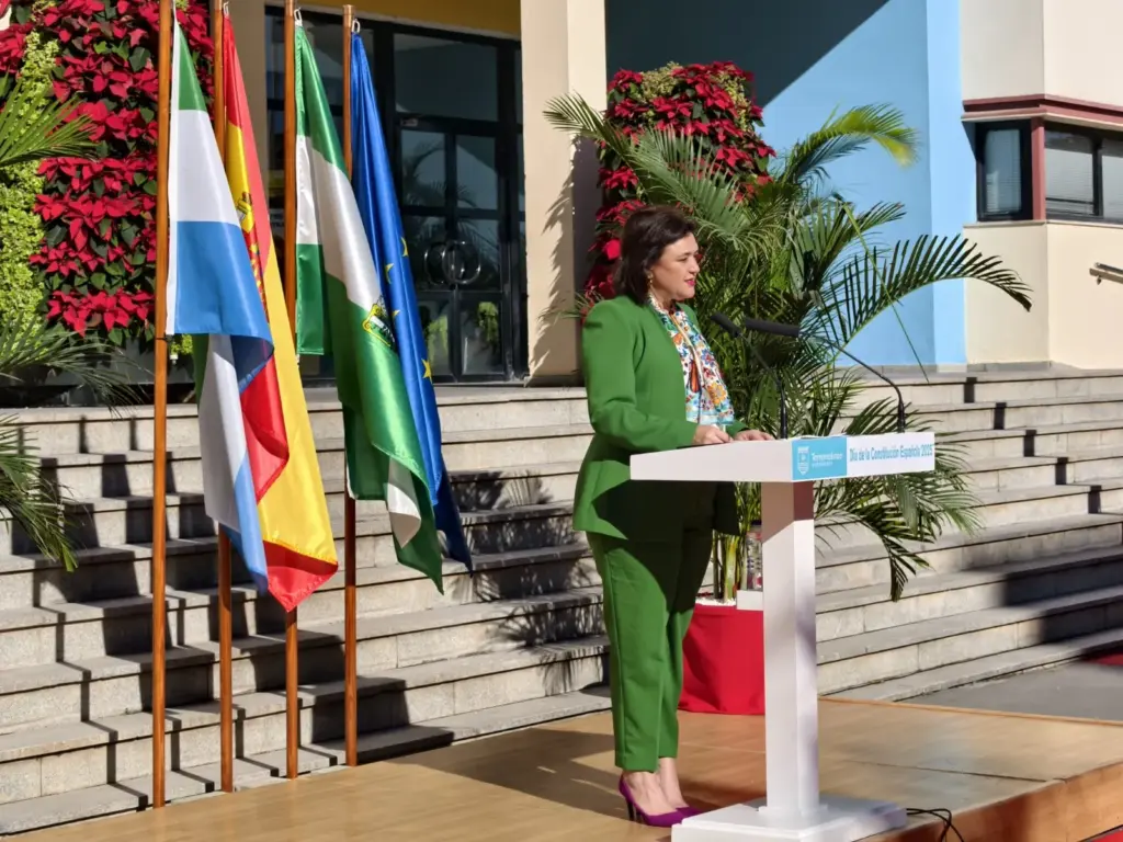 28 - DÍA CONSTITUCIÓN TORREMOLINOS