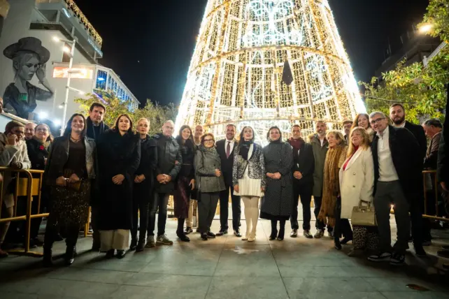 31 - ALUMBRADO NAVIDEÑO TORREMOLINOS