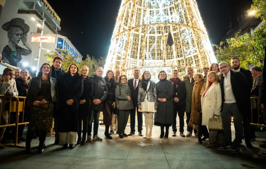 31 - ALUMBRADO NAVIDEÑO TORREMOLINOS