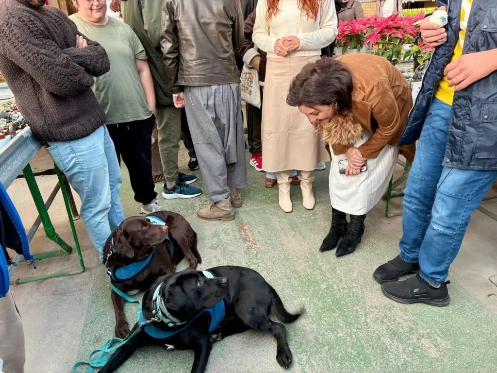 Torremolinos conmemora el Día Internacional de las Personas con Discapacidad 1 6 DIA INTERNACIONAL DISCAPACIDAD TORREMOLINOS