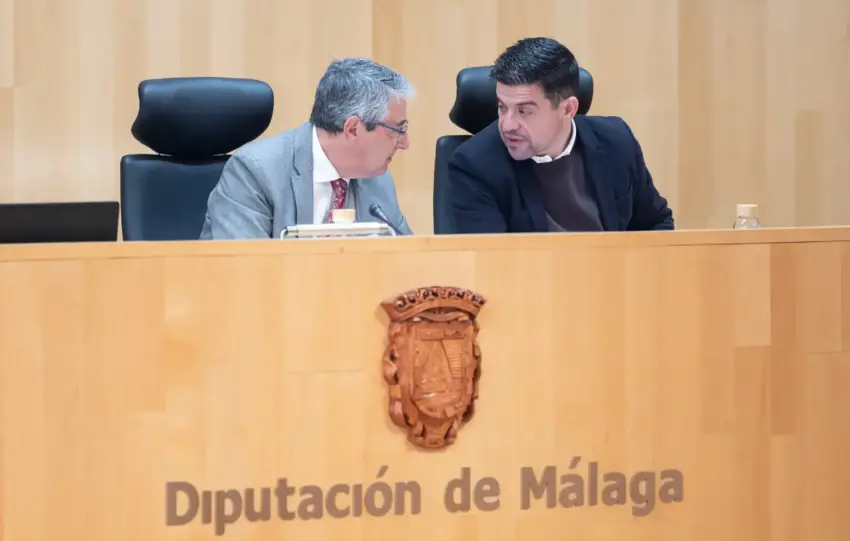 diputacion de Malaga.jpg