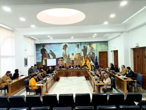 rincon de la victoria pleno.jpeg