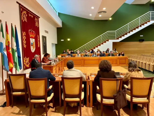 2 - PLENO ENERO TORREMOLINOS