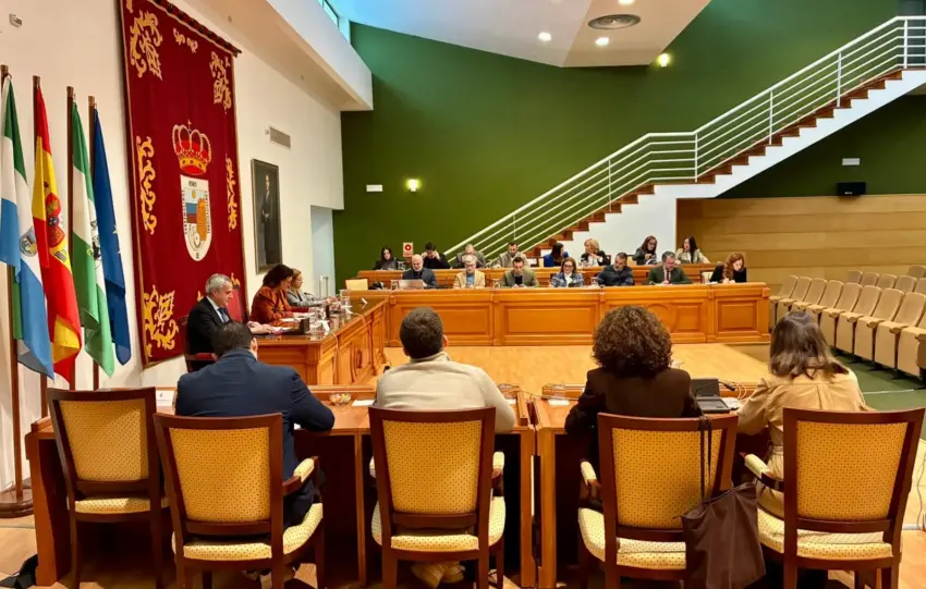 2 - PLENO ENERO TORREMOLINOS