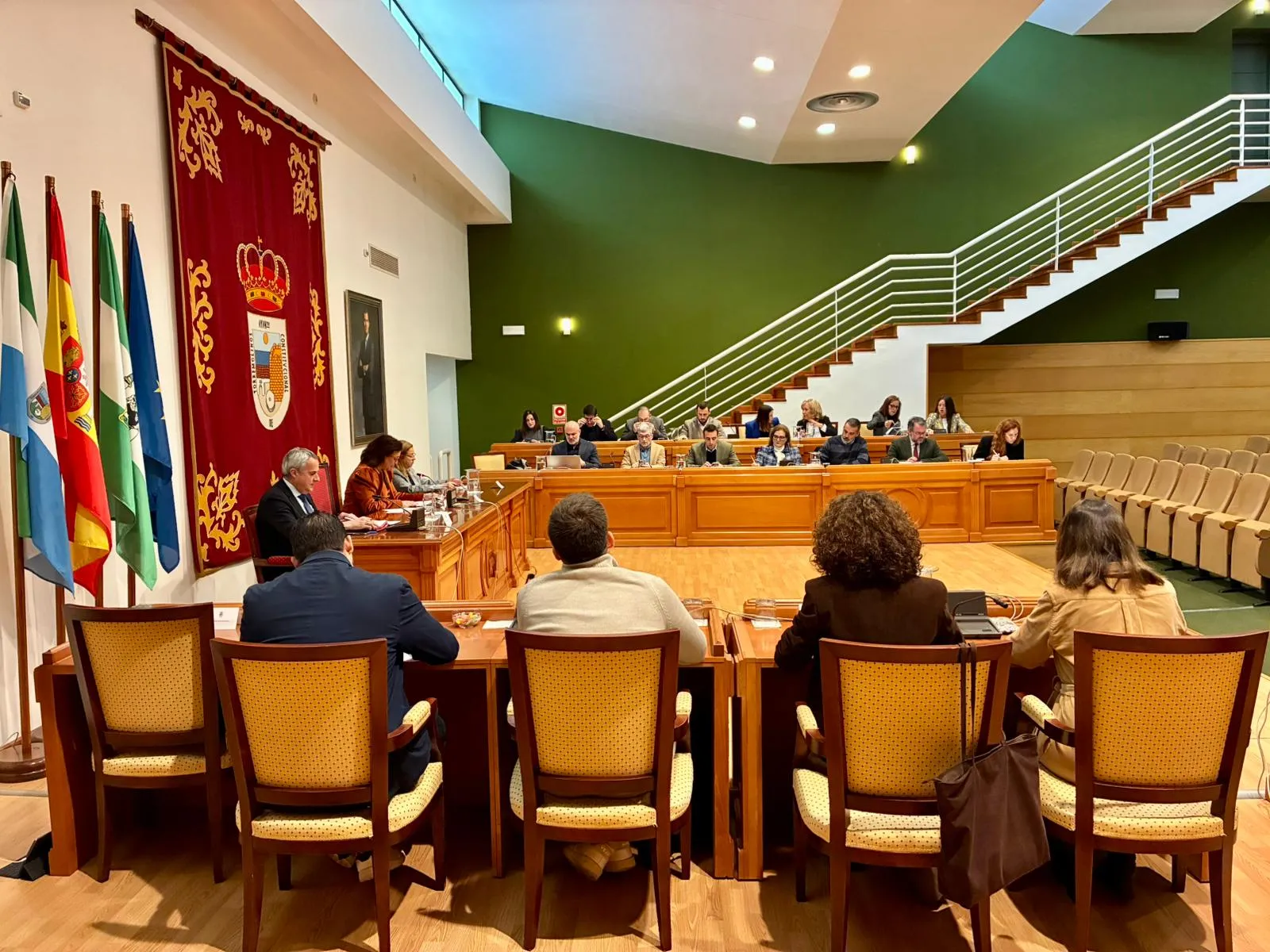 2 - PLENO ENERO TORREMOLINOS