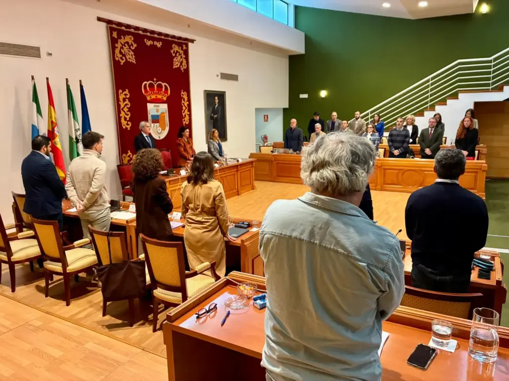 3 - PLENO ENERO TORREMOLINOS