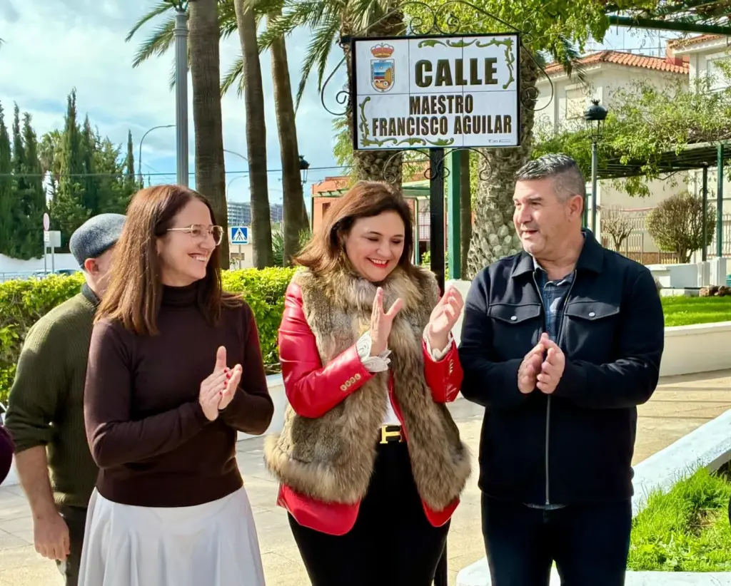 5 - CALLE MAESTRO FRANCISCO AGUILAR TORREMOLINOS