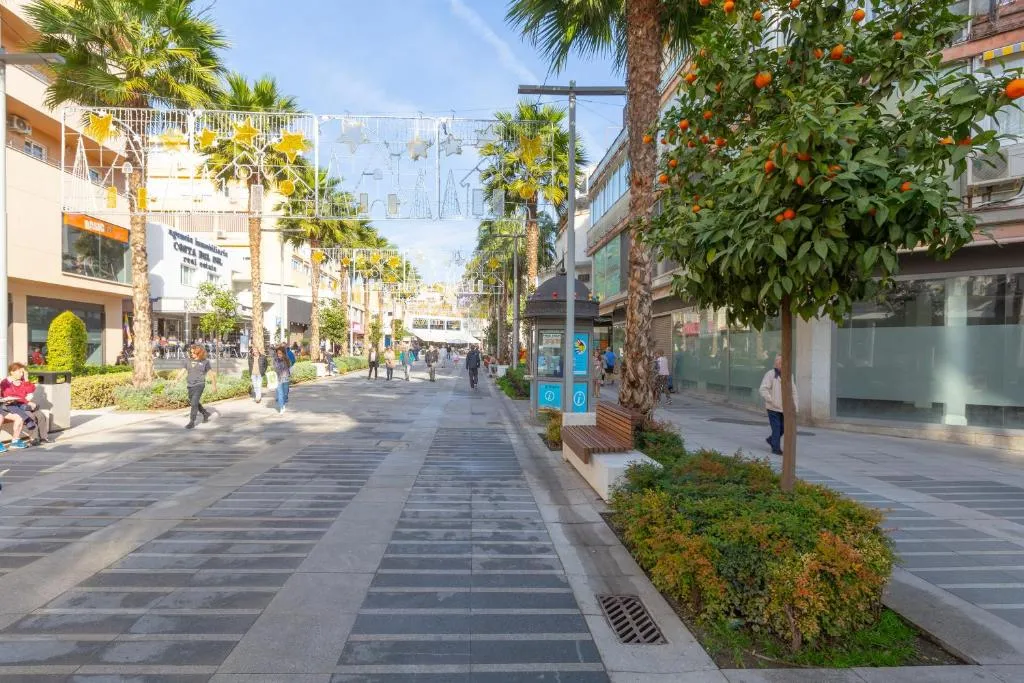 FALLECE UNA MUJER EN TORREMOLINOS TRAS LA CAÍDA DE UNA PALMERA (1)