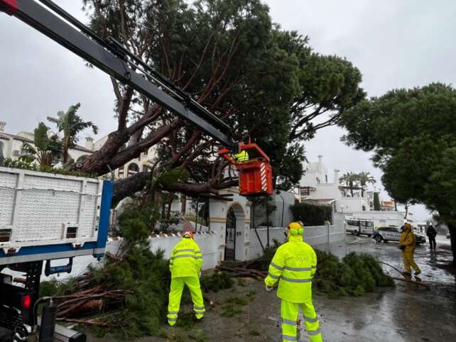 Temporal final enero 2026 6 1536x1152 1